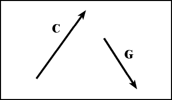 VectorImage1.gif (1622 bytes)