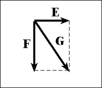 VectorImage4.gif (1481 bytes)